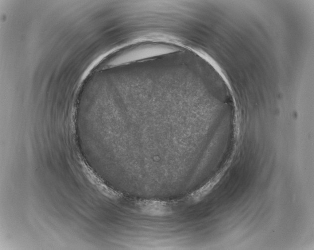 X0000085820783200704132011