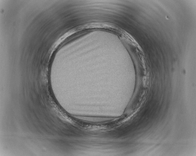 X0000085820786200704132011
