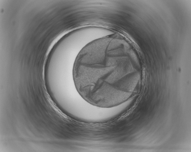 X0000085820788200704132011