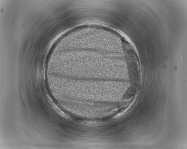X0000085820791200704132011