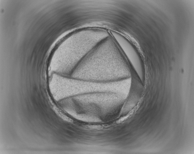X0000085820792200704132011
