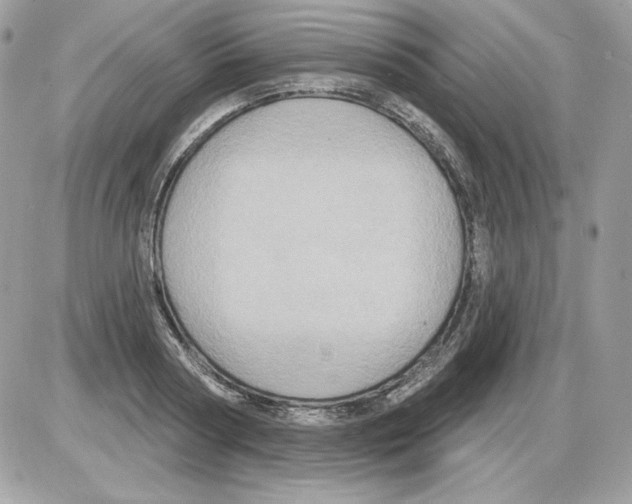 X0000085820794200704132011