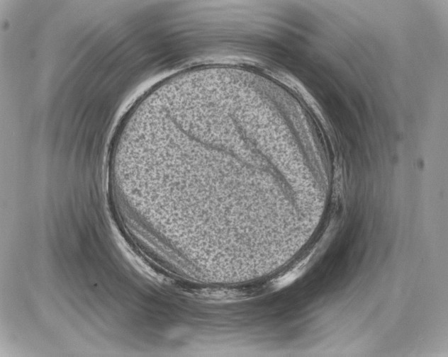 X0000085820795200704132011