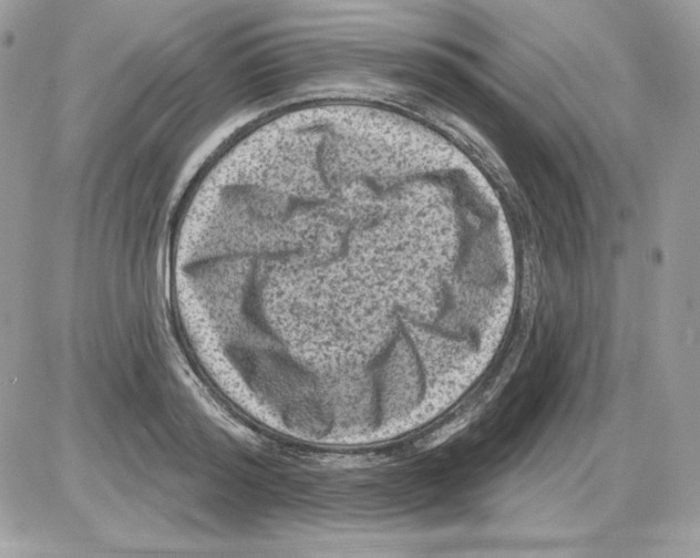 X0000085820796200704132011