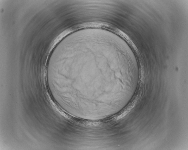 X0000085820802200704132010