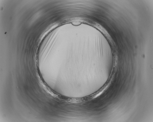 X0000085820806200704132010