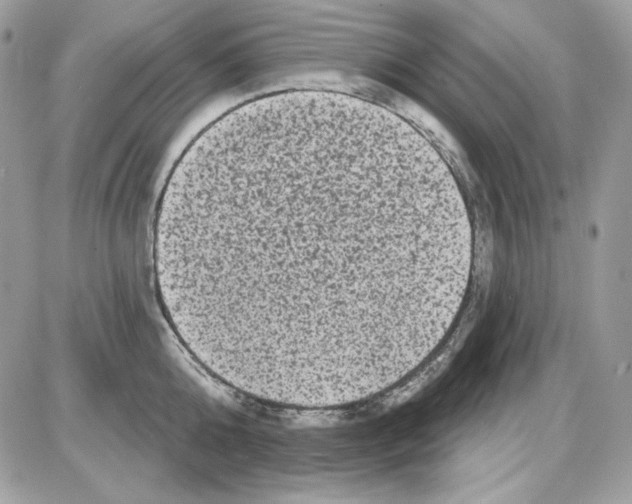 X0000085820808200704132010