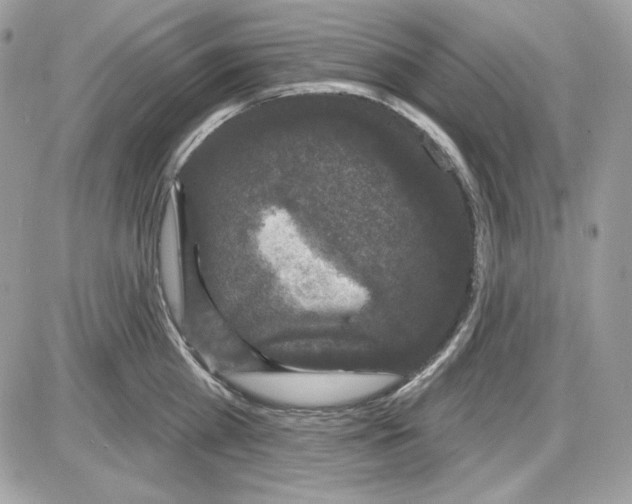 X0000085820809200704132010
