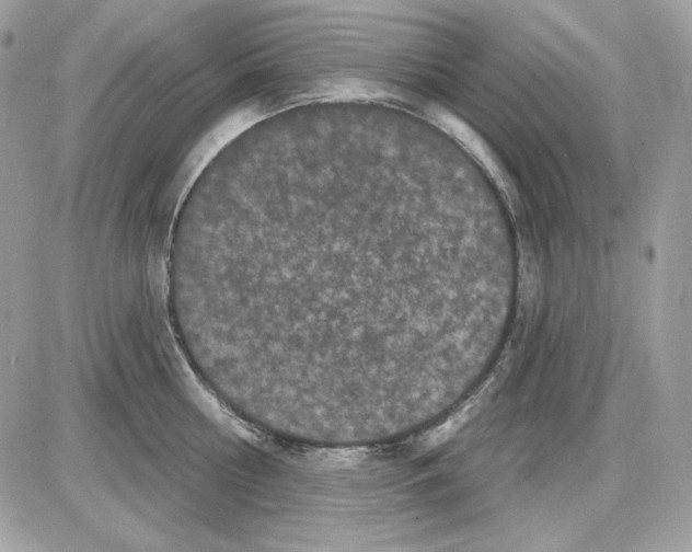 X0000085820810200704132010
