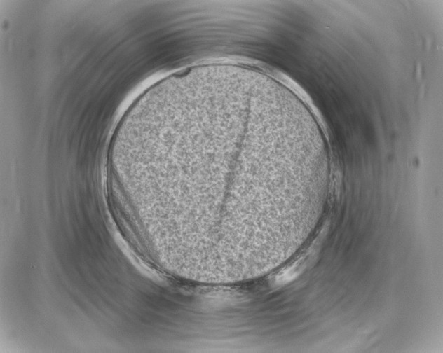 X0000085820811200704132010