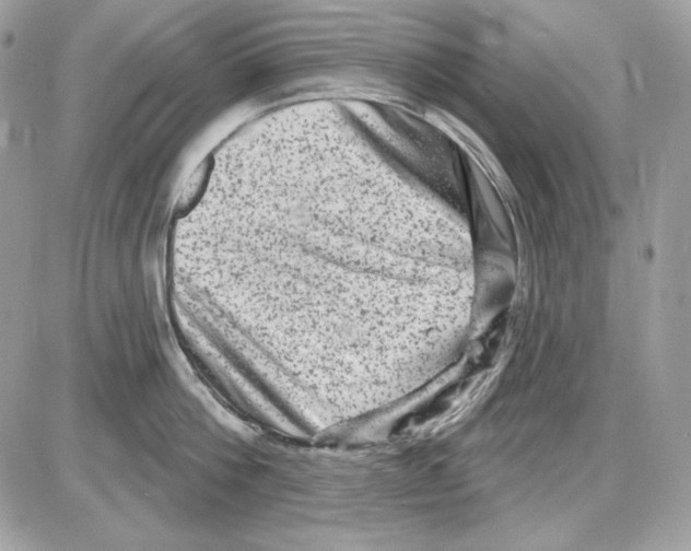 X0000085820812200704132010