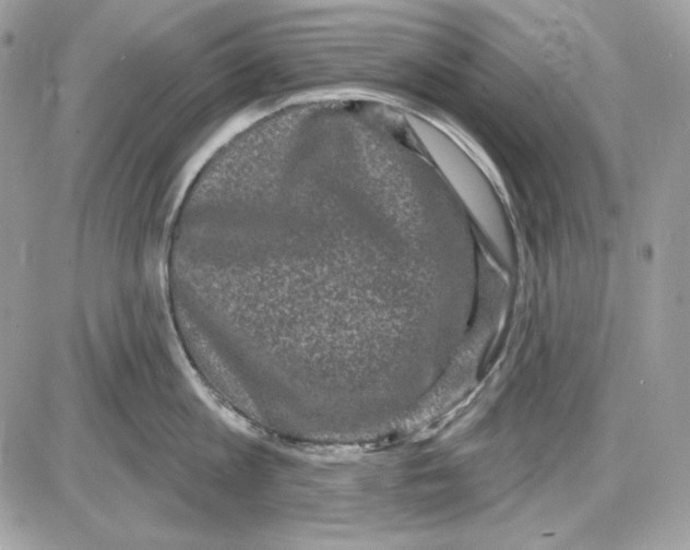X0000085820813200704132010