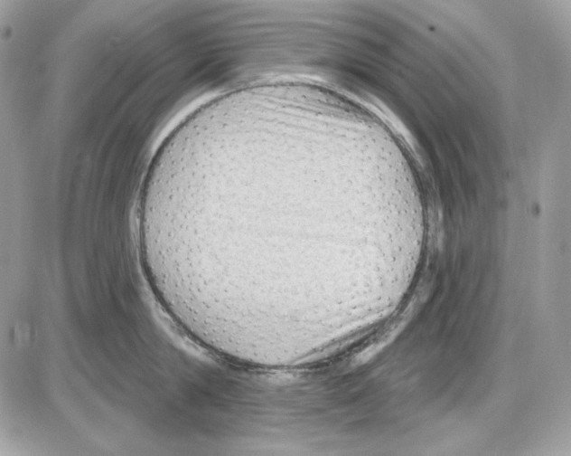 X0000085820814200704132010