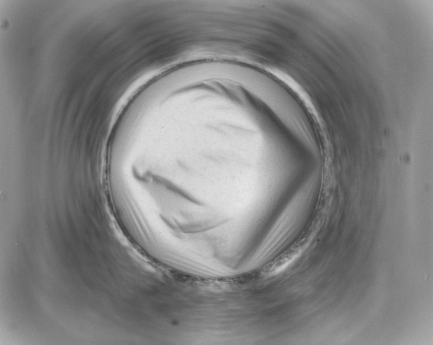 X0000085820815200704132010