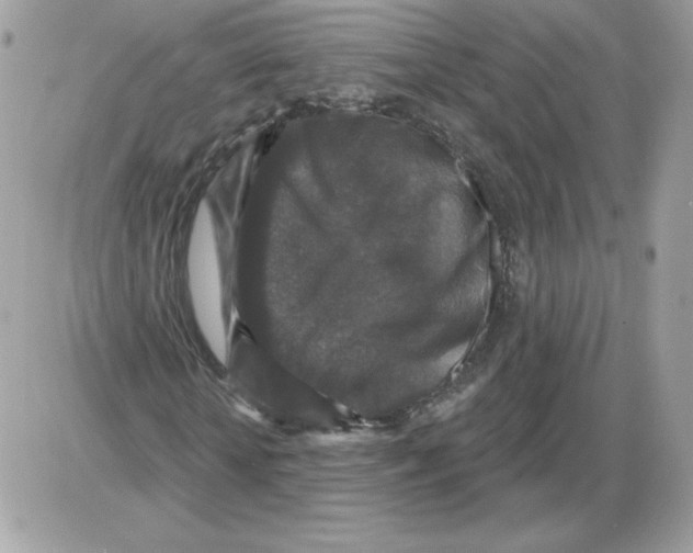 X0000085820818200704132009