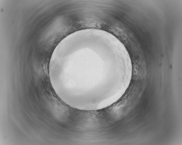 X0000085820820200704132009