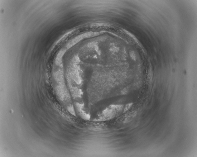 X0000085820823200704132009