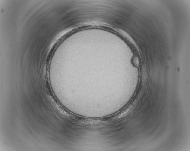 X0000085820831200704132010