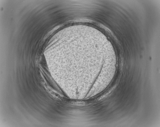 X0000085820833200704132010