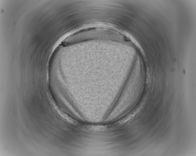 X0000085820837200704132010