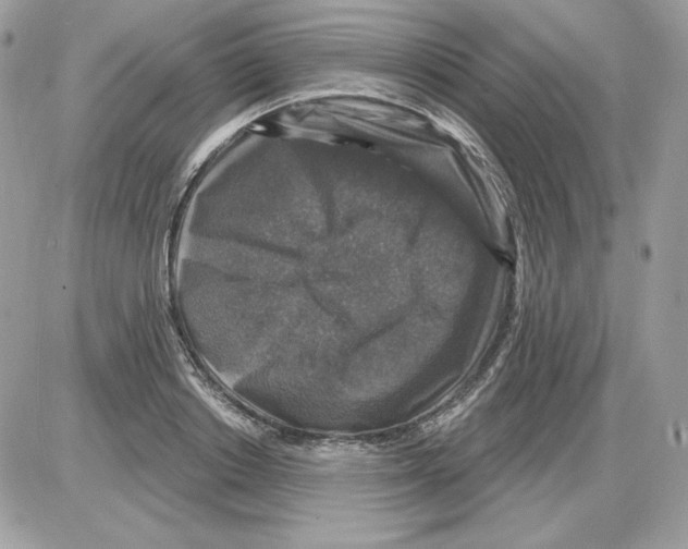 X0000085820842200704132010