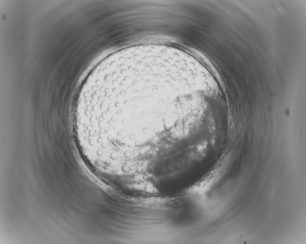 X0000085820851200704132010