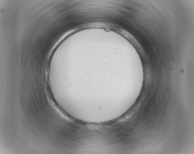 X0000085820852200704132010