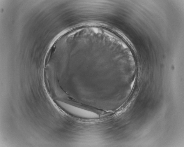 X0000085820853200704132010