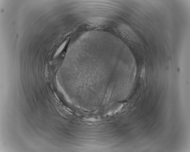 X0000085820868200704132009