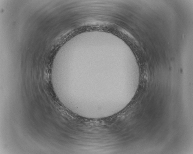 X0000085820869200704132009