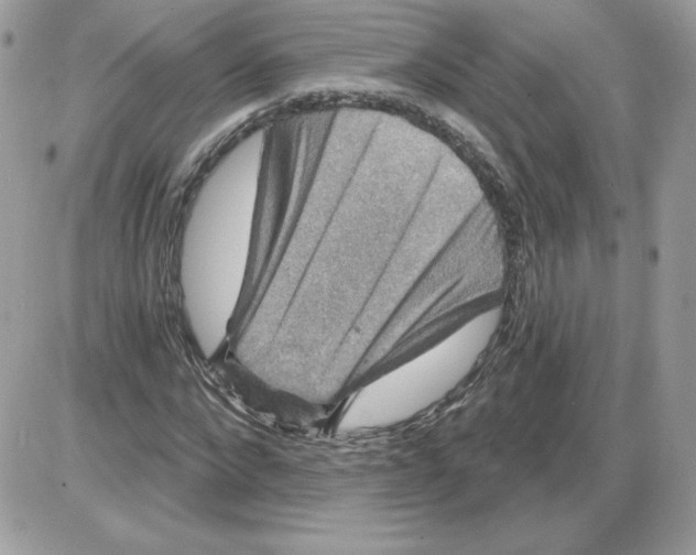 X0000085820872200704132009