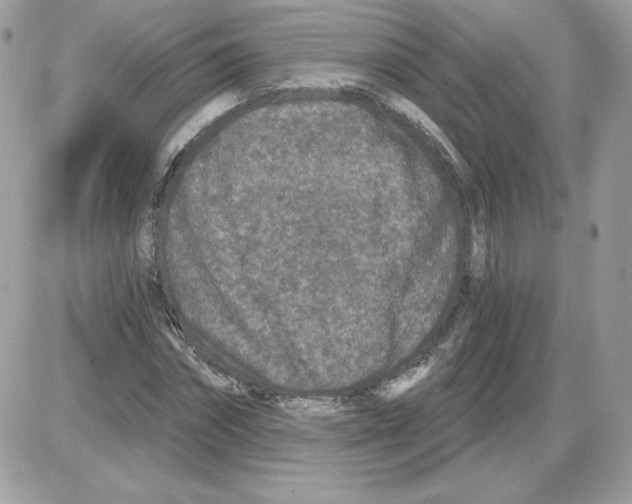 X0000085820874200704132009