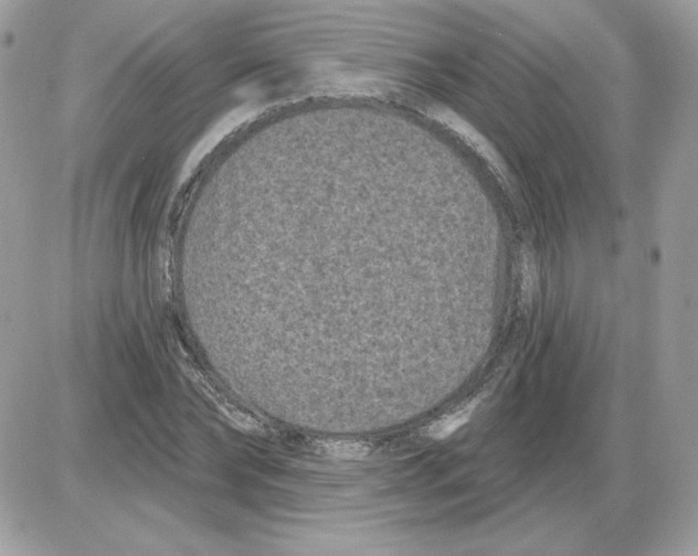 X0000085820878200704132009