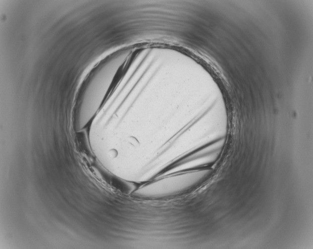 X0000085820880200704132009