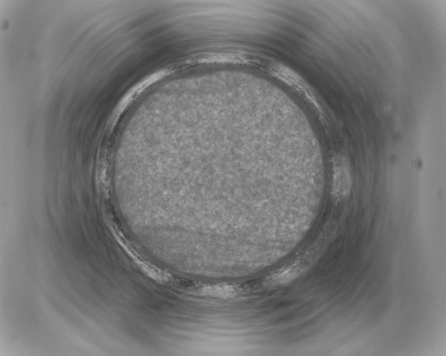 X0000085820882200704132009
