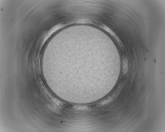 X0000085820886200704132009