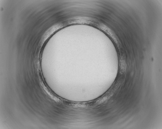 X0000085820890200704132009