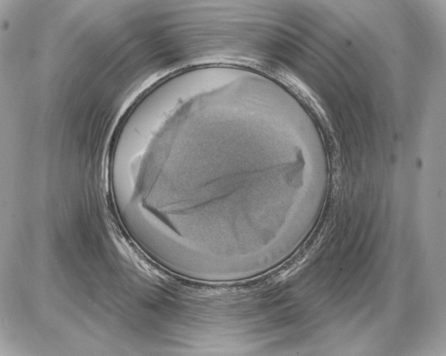 X0000085820892200704132009