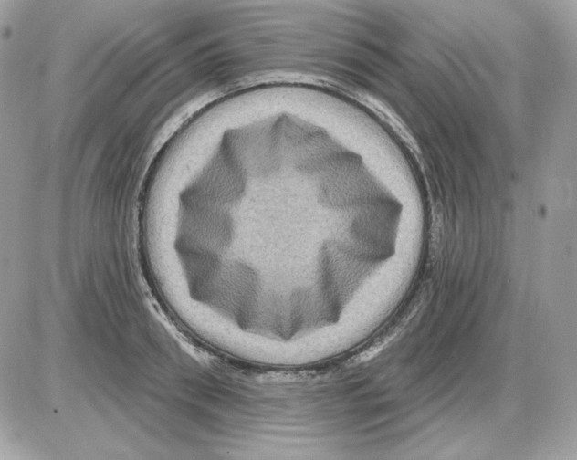 X0000085820898200704132009