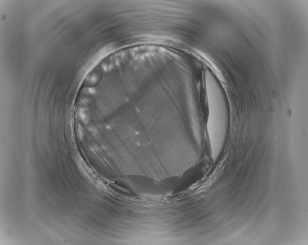 X0000085820899200704132009