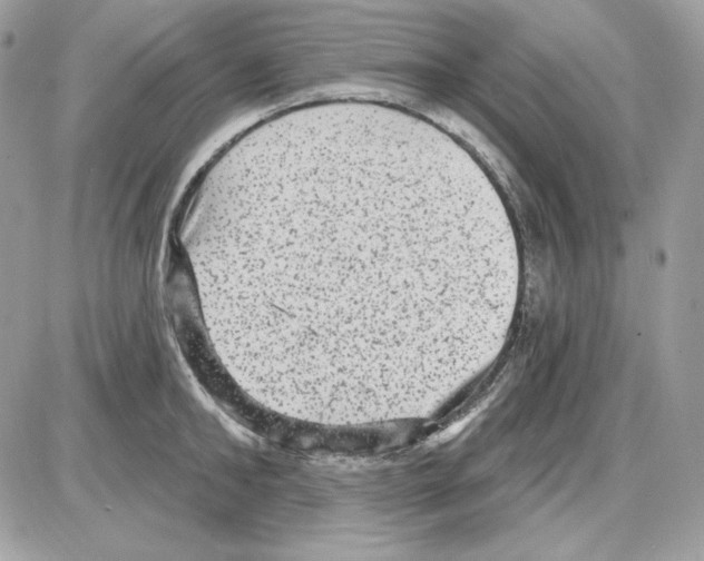 X0000085820902200704132009