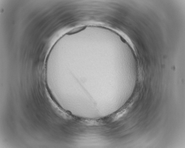 X0000085820911200704132009
