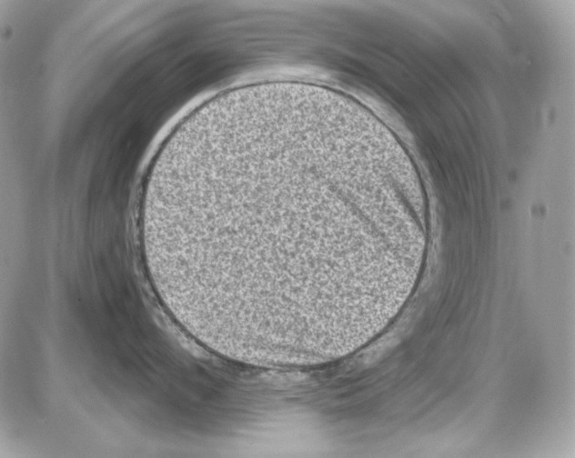 X0000085820912200704132009