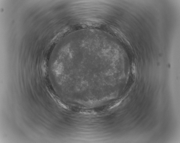 X0000085820915200704132008
