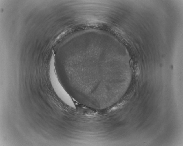X0000085820916200704132008