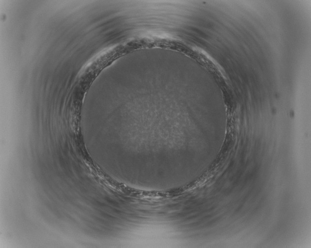 X0000085820919200704132008