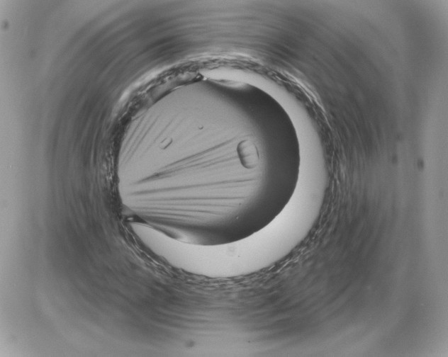 X0000085820920200704132008