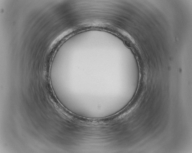 X0000085820922200704132008