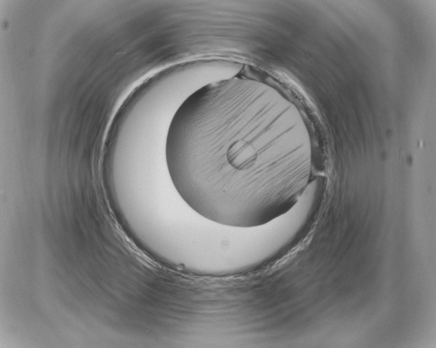 X0000085820924200704132008