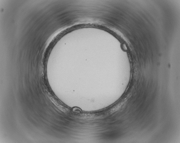 X0000085820927200704132008